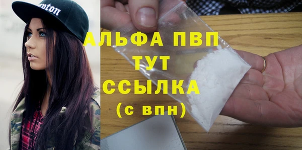 спайс Каменка