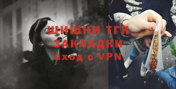спайс Каменка