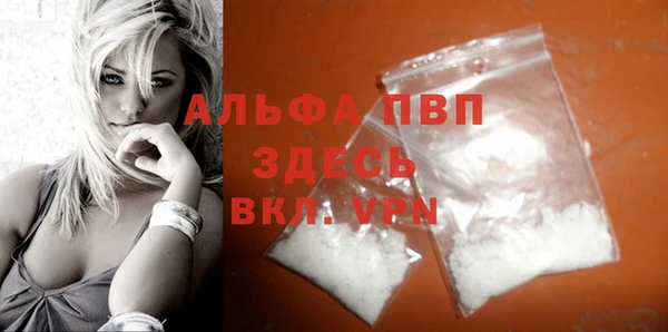спайс Каменка