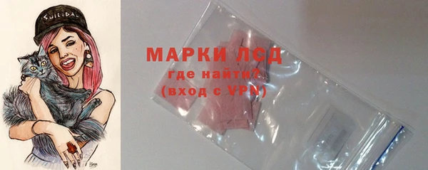 спайс Каменка