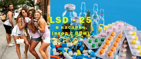 спайс Каменка