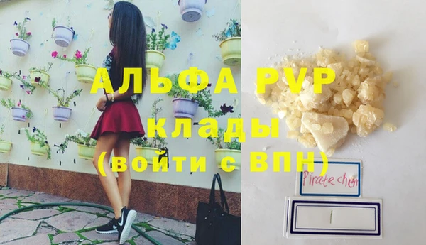 спайс Каменка
