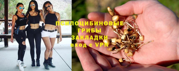 спайс Каменка