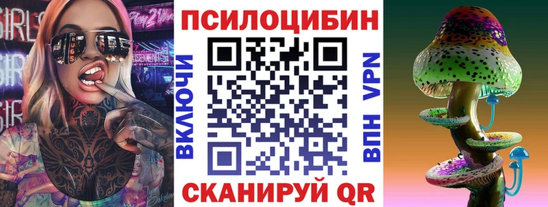 Галлюциногенные грибы Psilocybe  Купить где  Суровикино 